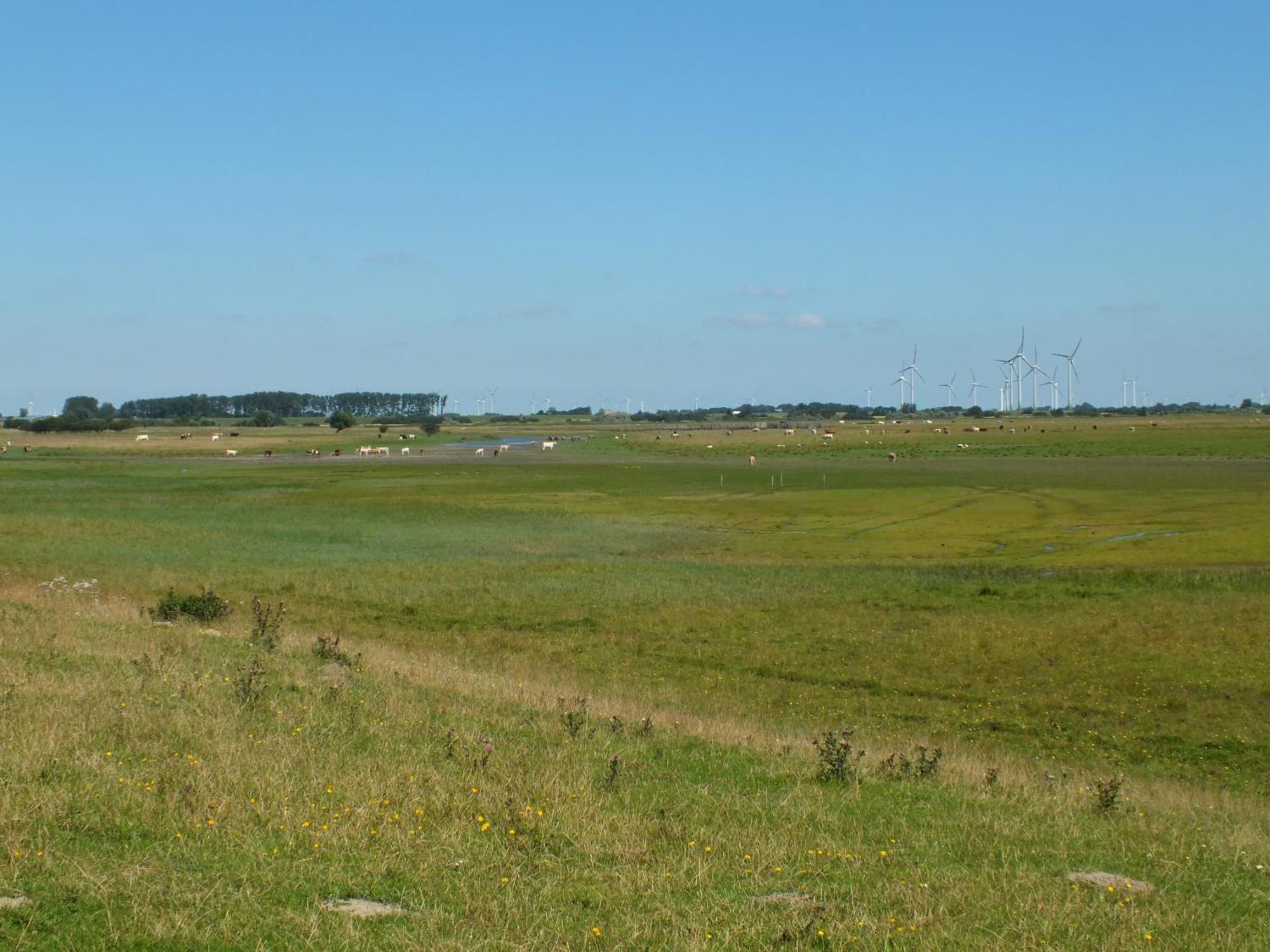 Ferienwohnung In Osterdeichstrich Oesterdeichstrich Kültér fotó
